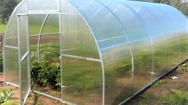 Kasvihuone-Easy-Up-4 Kaarikasvihuone Easy-Up – polykarbonaattikasvihuone 6mm, leveys 3m