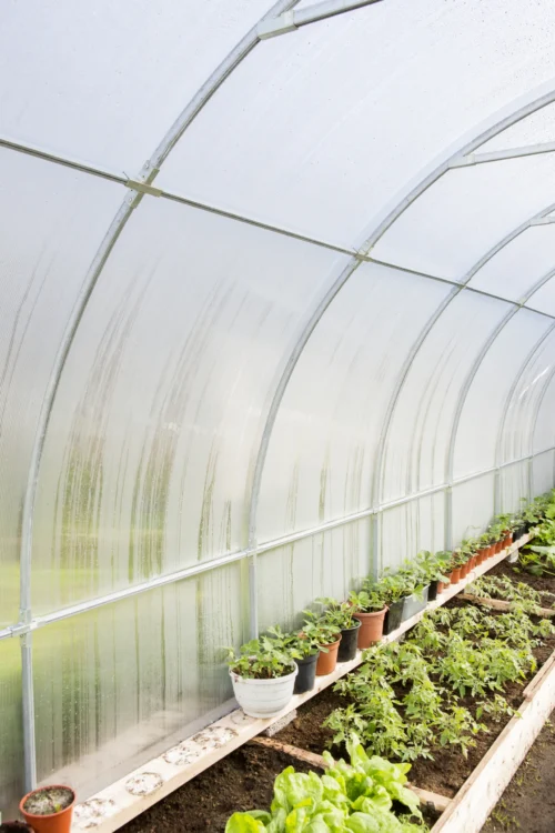 Kaarkasvihuone Easy-Up – polykarbonaattikasvihuone 4mm, leveys 2m