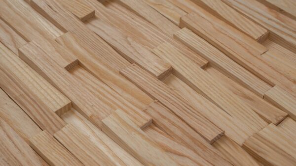 TRAIL 23 Saarni käsittelemätön