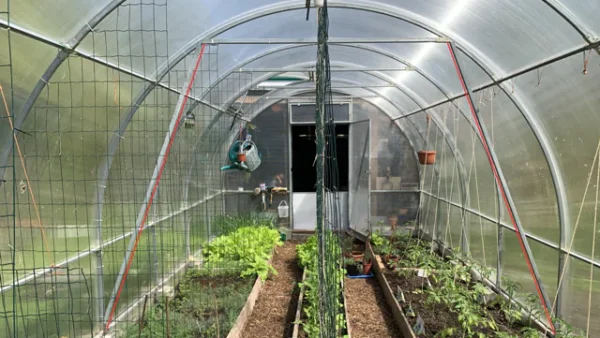 EASY-Up-vahvistus1 Kasvihuone Easy-Up vahvistussarja – lisätuki kaarikasvihuoneeseen