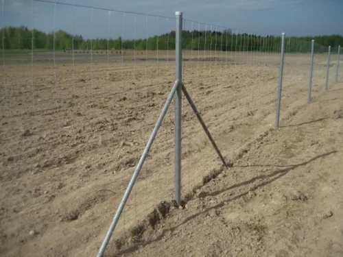 Eläinverkko Ø1,9mm – sinkitty hitsattu eläinaita 50m rulla