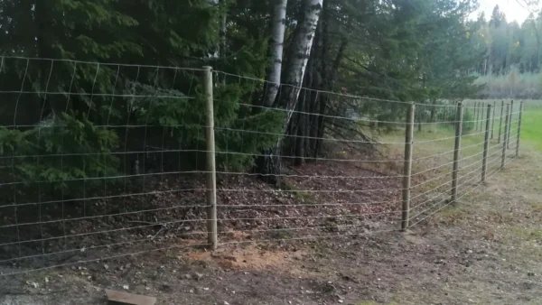 Eläinverkko Ø1,9mm – sinkitty punottu eläinaita 50m rulla