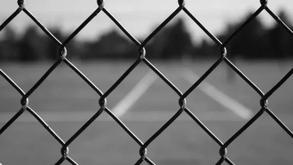 Panssariaitaverkko PVC RAL9005 Ø2,5mm - 1,5m×12,5m